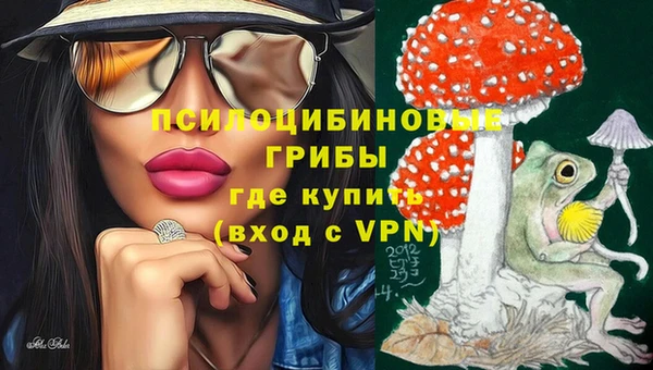 ГАЛЛЮЦИНОГЕННЫЕ ГРИБЫ Куйбышев